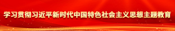 骚逼日鸡巴学习贯彻习近平新时代中国特色社会主义思想主题教育